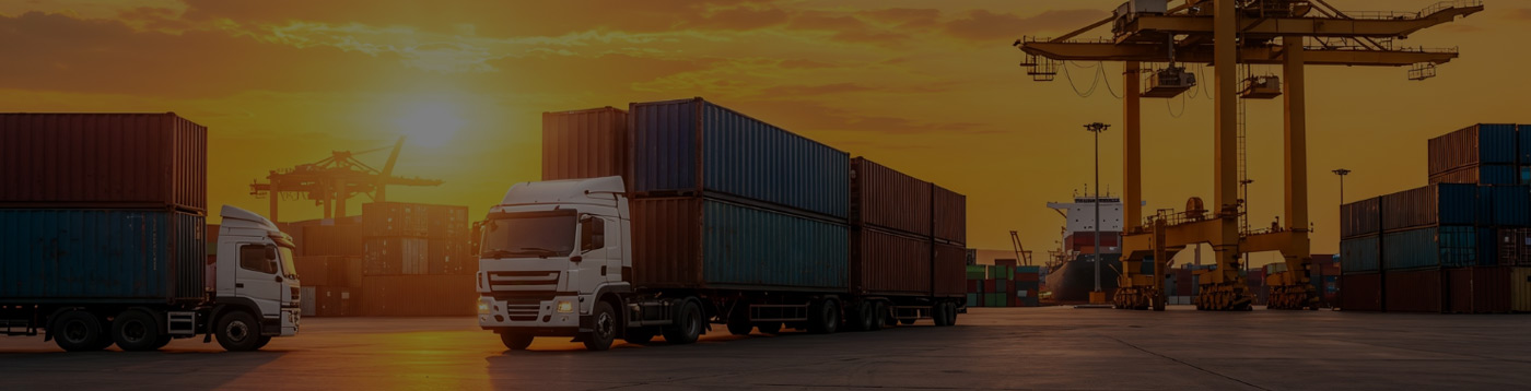 Macron Logi Services